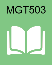 VU MGT503 Lectures