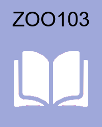 VU ZOO103 Lectures